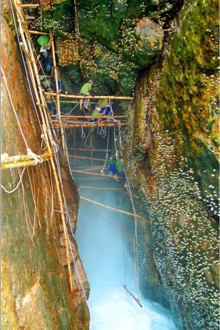 nuoi-yen