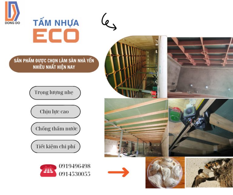 hình yến