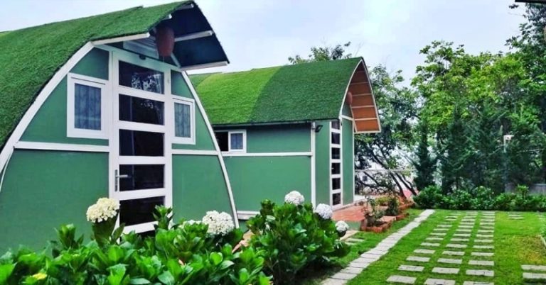 tam nhua eco (3) (1)